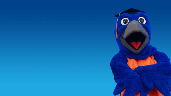 Image of the SUNY Empire mascot Blue the bluebird. 