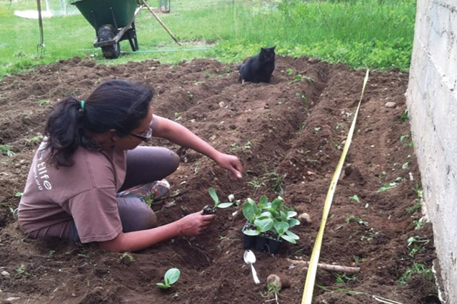 Getting Your Hands Dirty  A True, Growing Experience