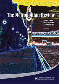 cover of Metropolitan Review Fall 2013 digital art photo of sunset over Venice